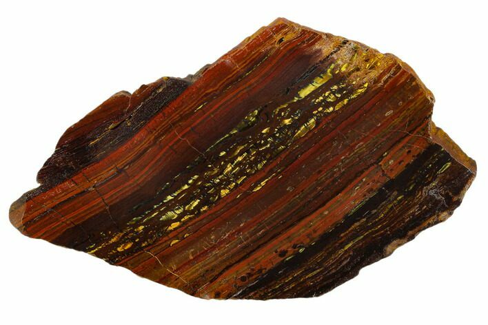 Polished Tiger Iron Stromatolite - Billion Years #129263